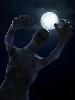 昭昭小说全文阅读